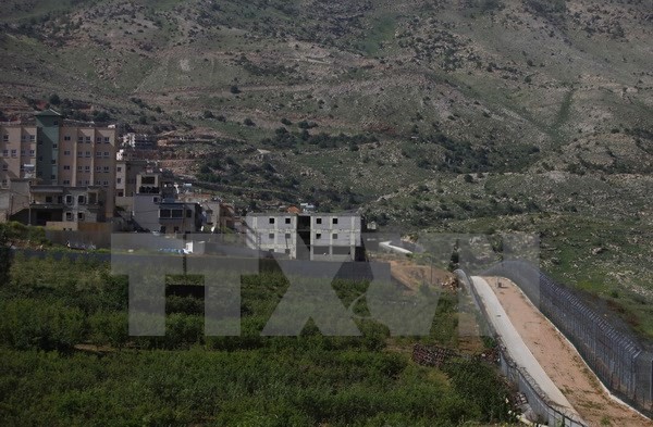 Plateau du Golan: L’OCI convoque une réunion d’urgence sur «l’escalade» - ảnh 1